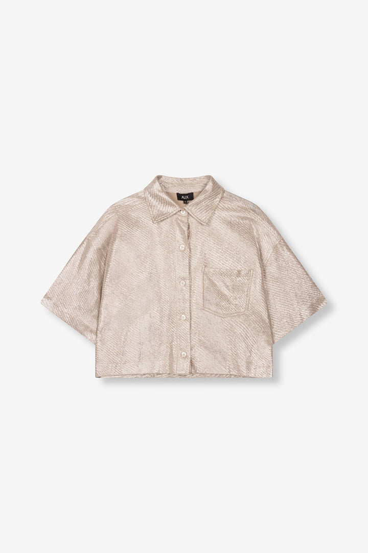 Foilke Cropped Blouse - Zilverkleurig
