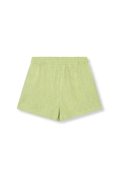 Dolly - Lime