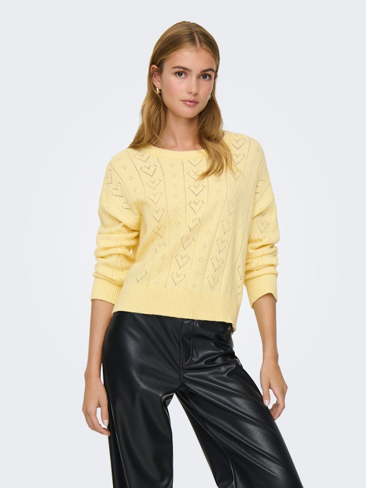 Onlisa Life Ls Struct Boxy Oneck Cc Knt - Geel