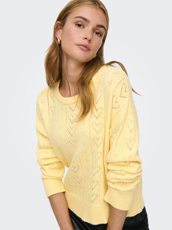 Onlisa Life Ls Struct Boxy Oneck Cc Knt - Geel