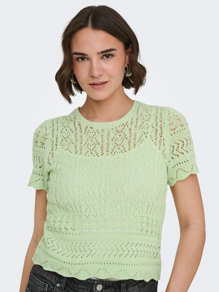Onlelke Life Ss Structure O-neck Knt Nca - Mint